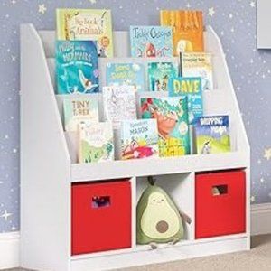 Set of 2 Red Canvas Collapsible Storage Bins